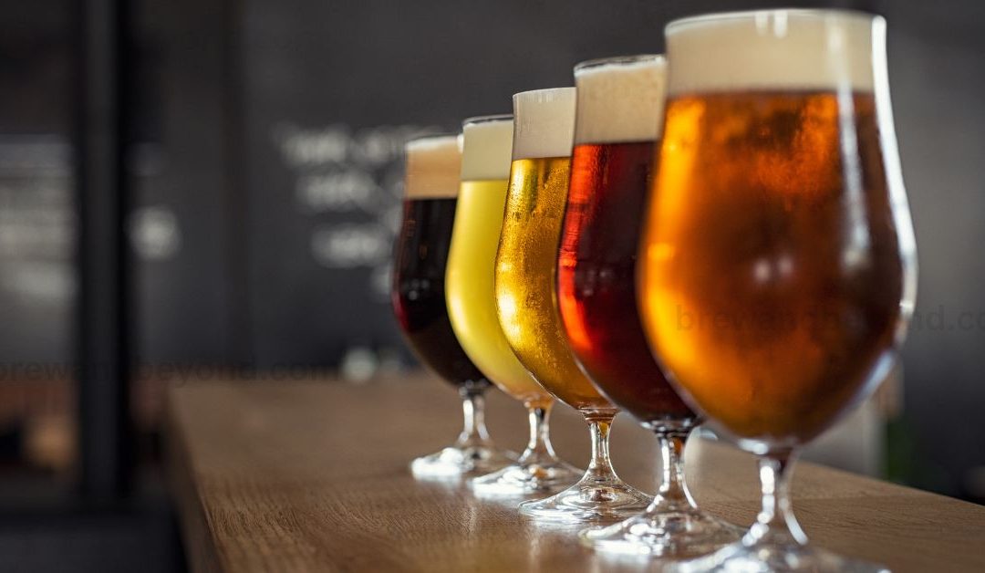Discover Your Perfect Beer – A Guide to Popular Styles